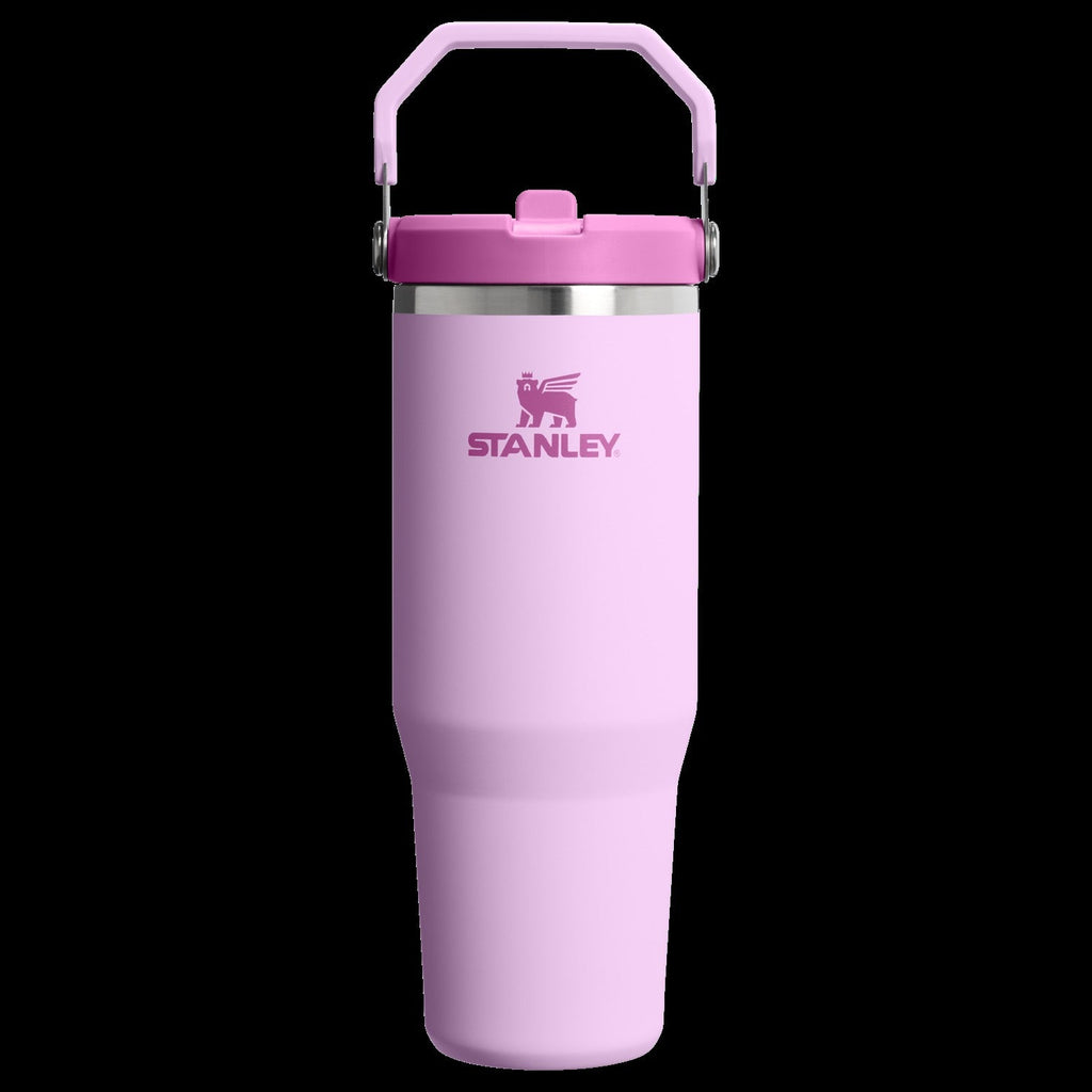 The IceFlowTM Flip Straw Tumbler | 30 OZ - Stanley Create