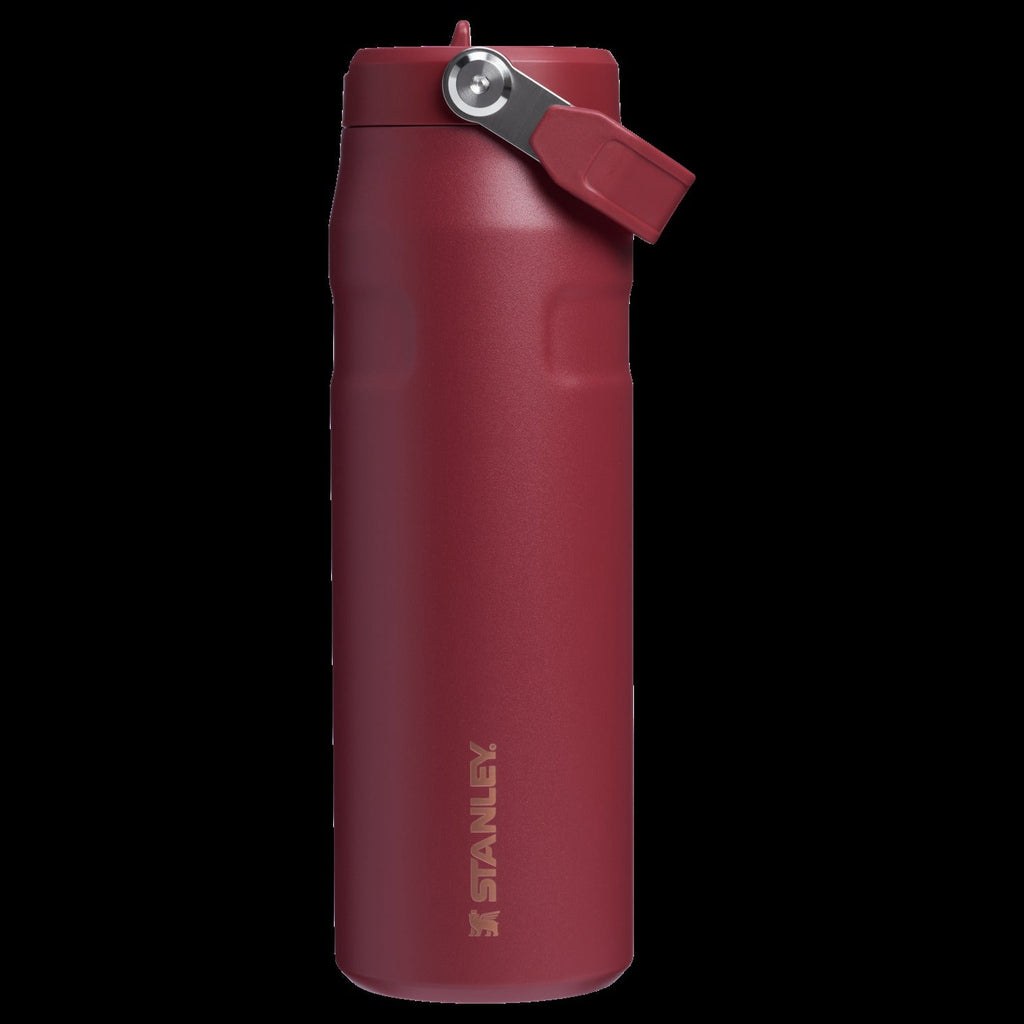 The IceFlowTM Bottle with Flip Straw Lid | 24 OZ
