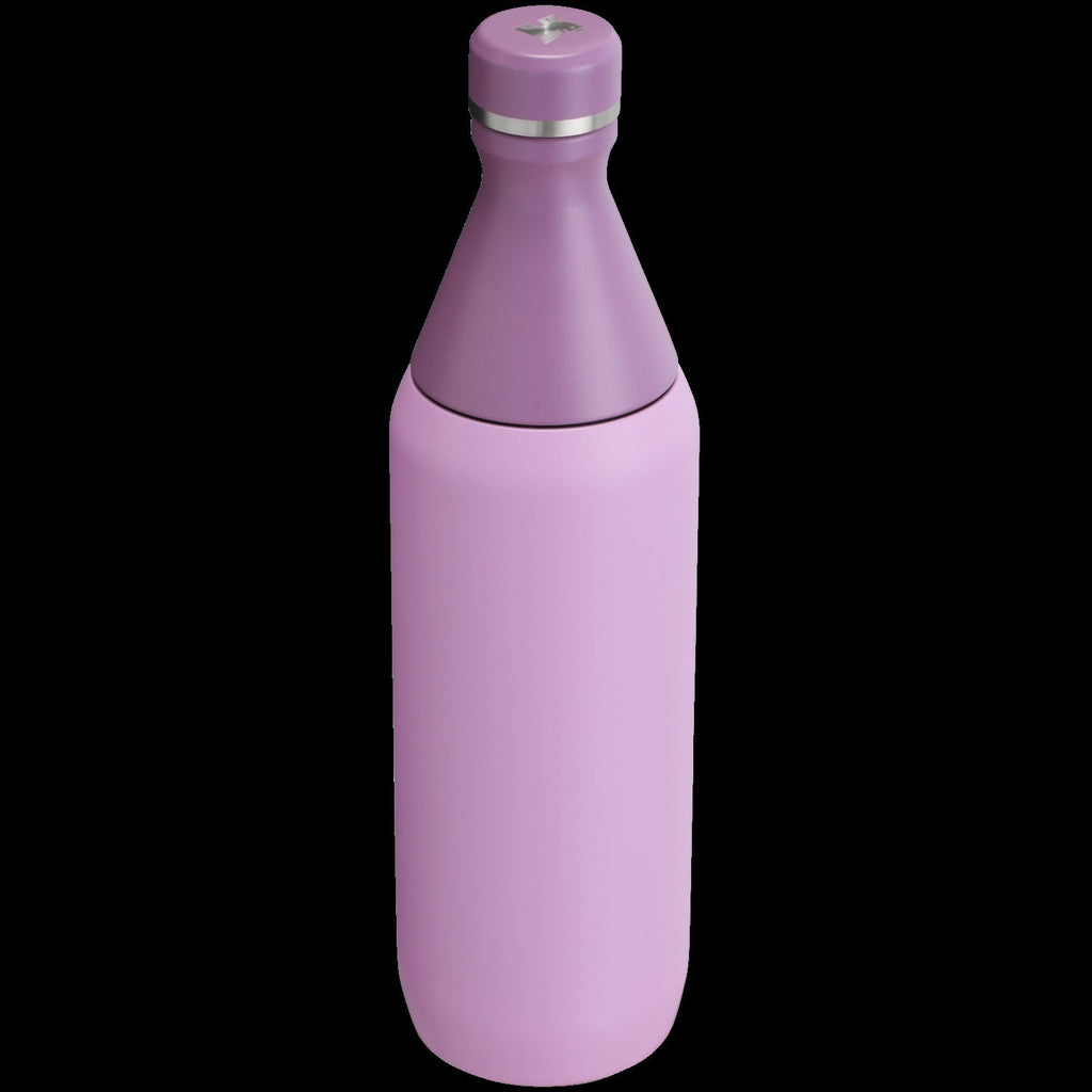 All Day Slim Bottle | 20 OZ - Stanley Create