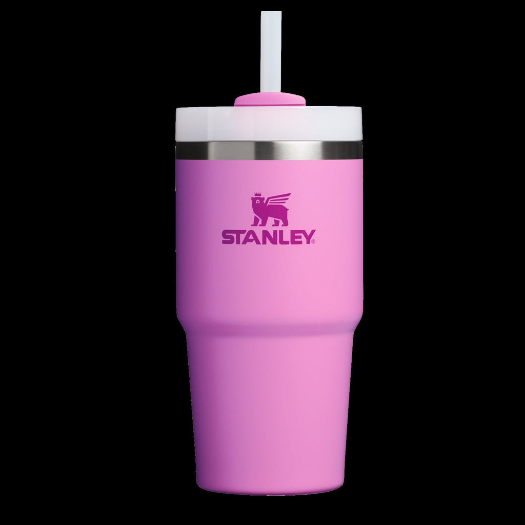 The Quencher H2.0 FlowStateTM Tumbler | 20 OZ