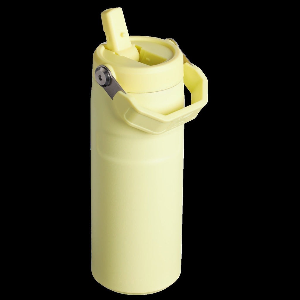 The IceFlowTM Bottle with Flip Straw Lid | 16 OZ