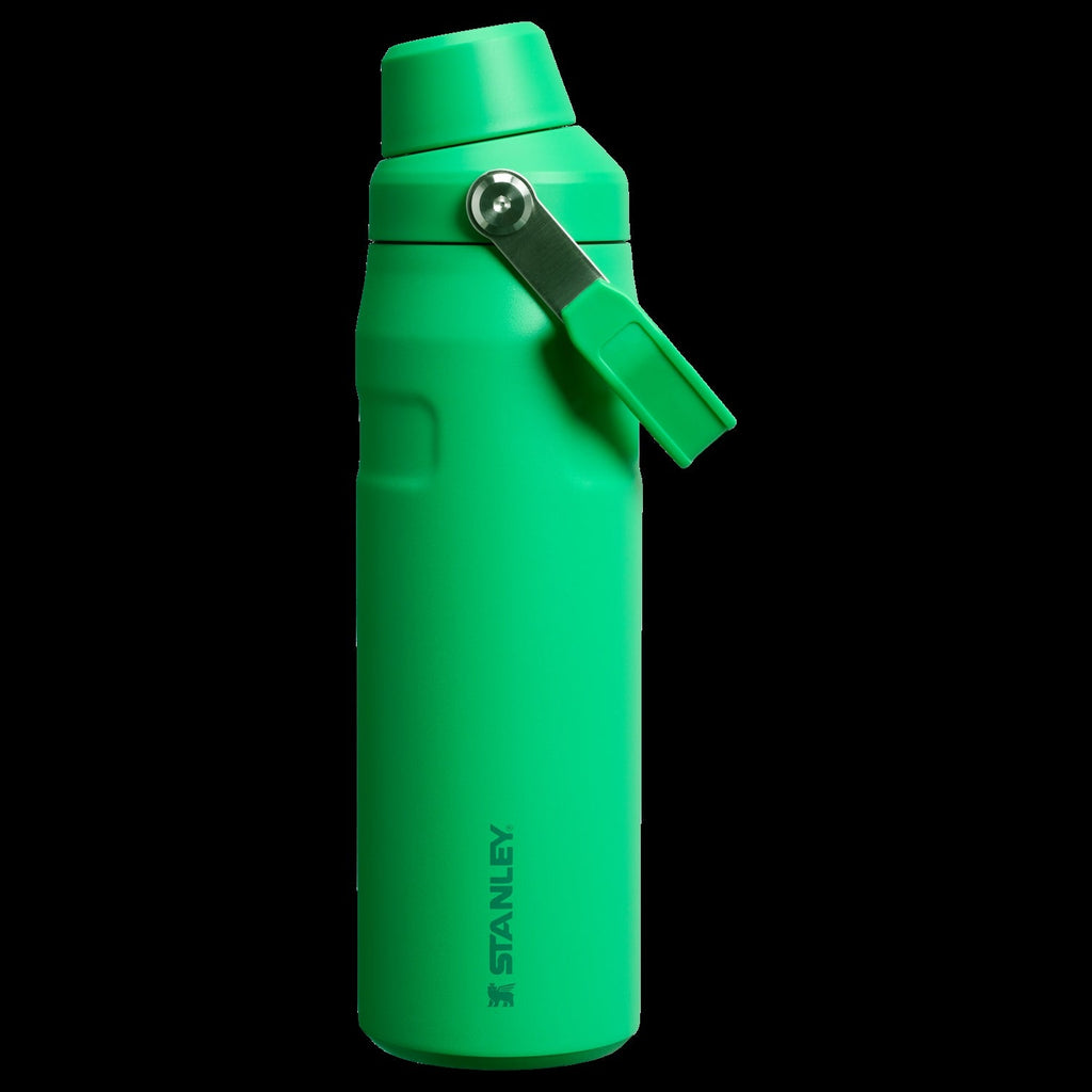 IceFlowTM Bottle with Fast Flow Lid | 24 OZ - Stanley Create