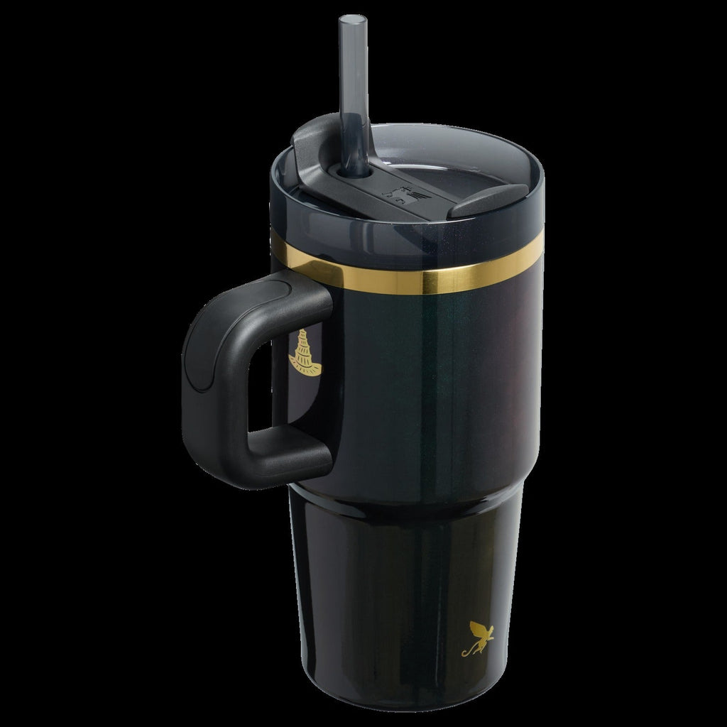 The Wicked for Good Quencher® H2.0 FlowStateTM Tumbler | 20 OZ