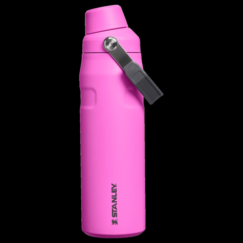 IceFlowTM Bottle with Fast Flow Lid | 24 OZ