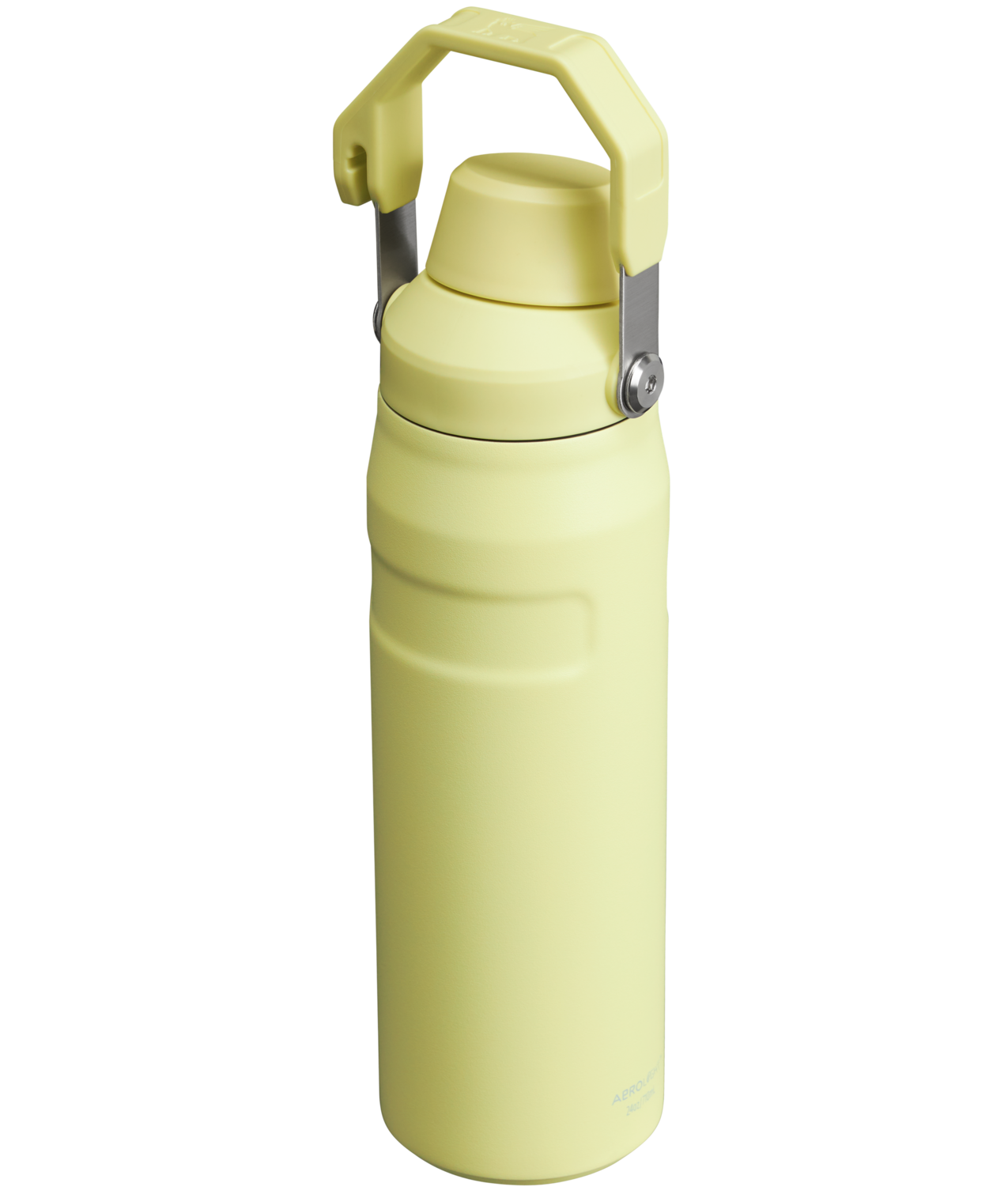 IceFlowTM Bottle with Fast Flow Lid | 24 OZ - Stanley Create