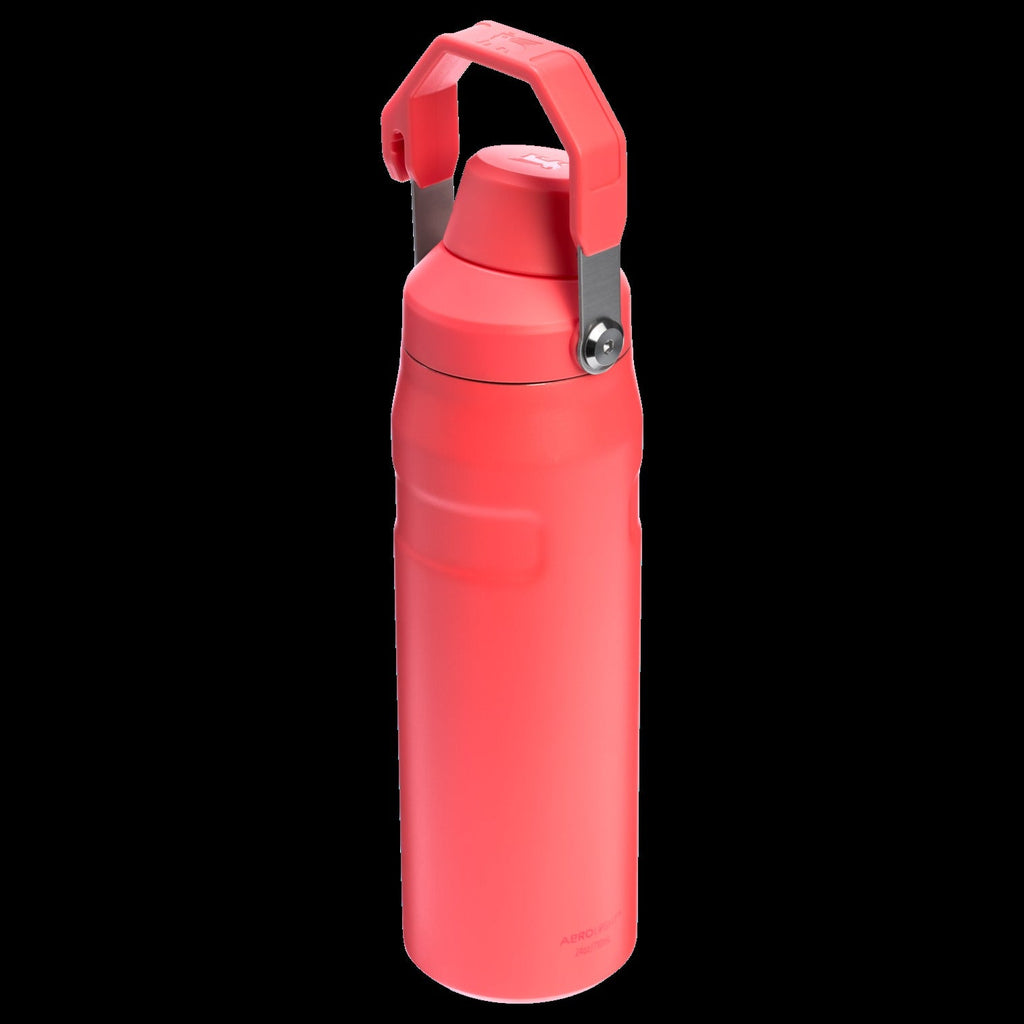 IceFlowTM Bottle with Fast Flow Lid | 24 OZ - Stanley Create