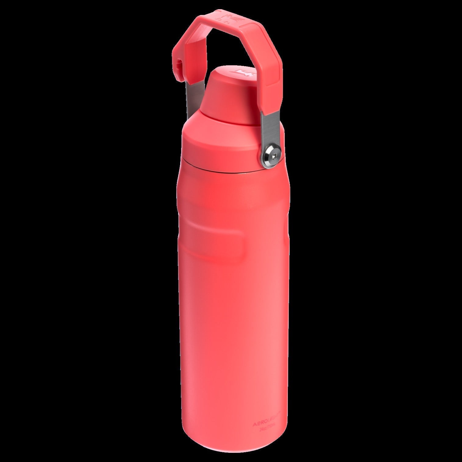 IceFlowTM Bottle with Fast Flow Lid | 24 OZ - Stanley Create