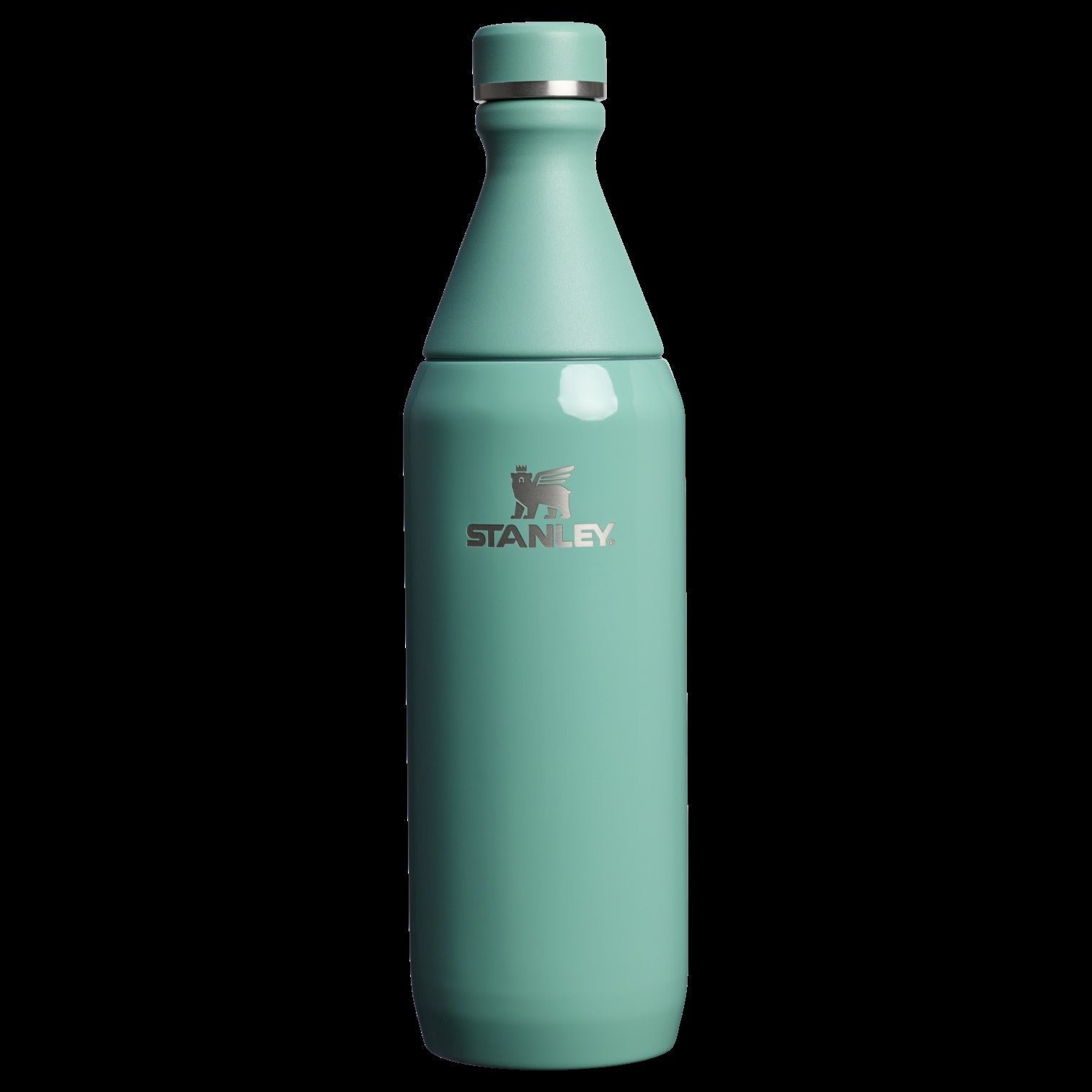 All Day Slim Bottle | 20 OZ - Stanley Create