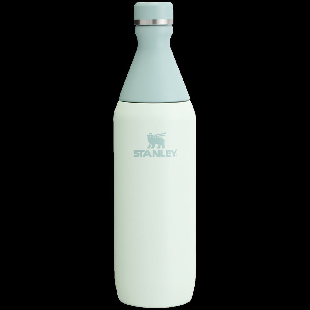 All Day Slim Bottle | 20 OZ - Stanley Create