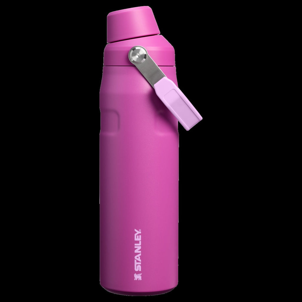 IceFlowTM Bottle with Fast Flow Lid | 24 OZ