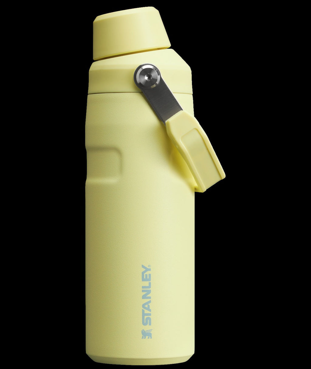 IceFlowTM Bottle with Fast Flow Lid | 16 OZ