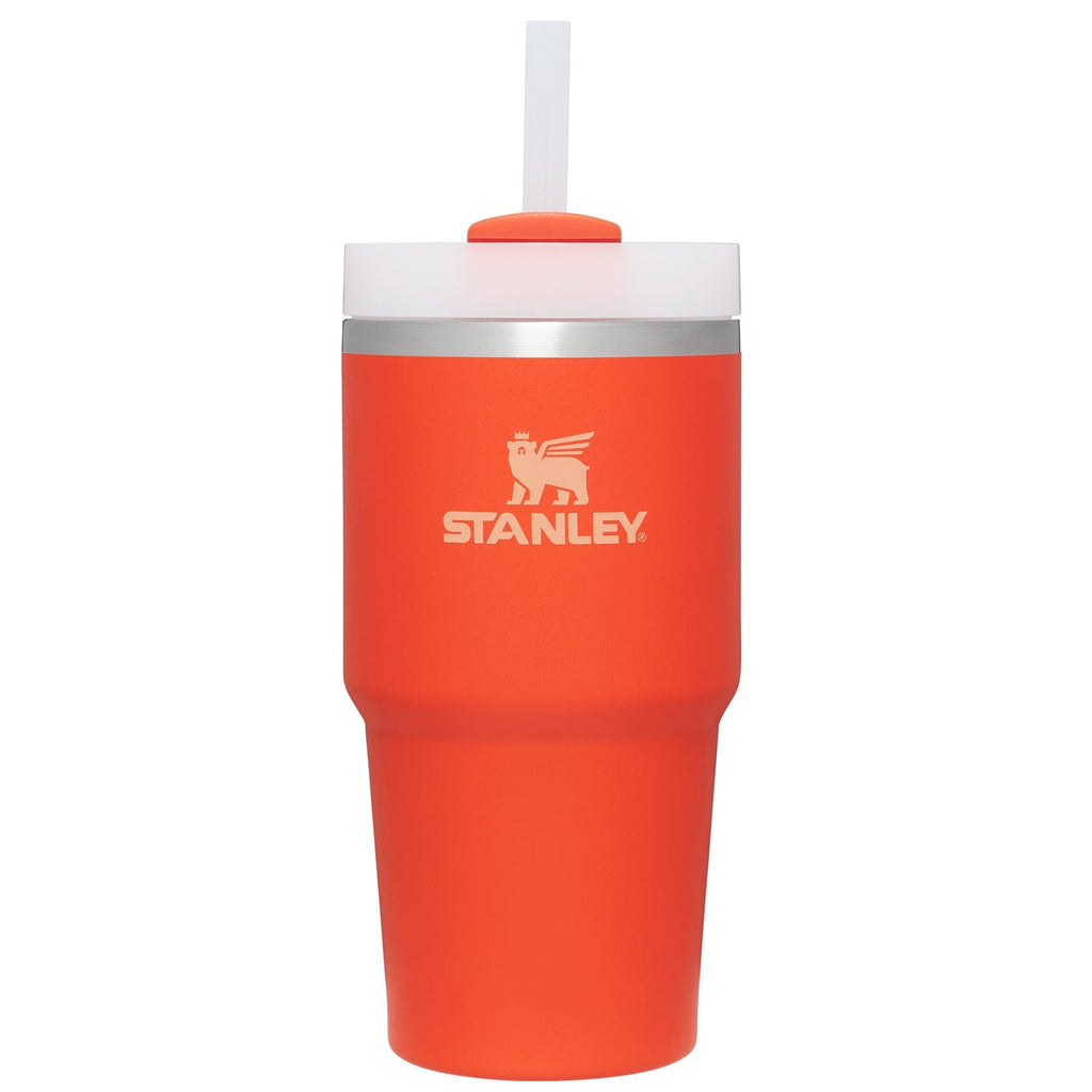 The Quencher H2.0 FlowStateTM Tumbler | 20 OZ
