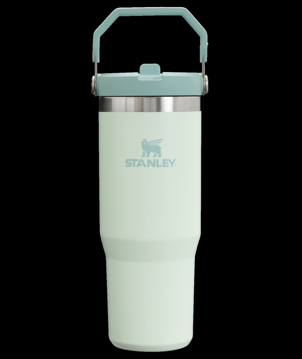 The IceFlowTM Flip Straw Tumbler | 30 OZ - Stanley Create