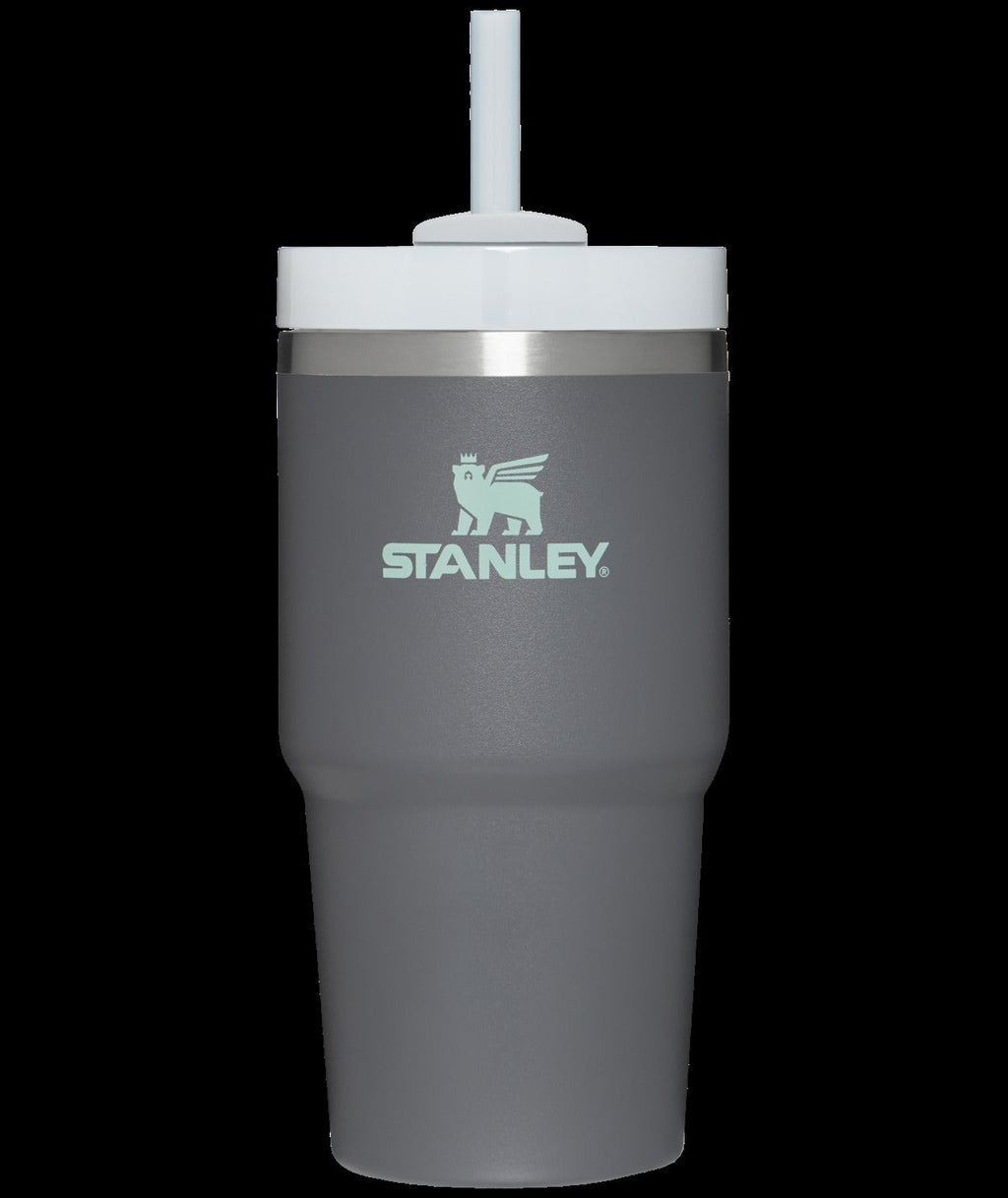 The Quencher H2.0 FlowStateTM Tumbler | 20 OZ - Stanley Create