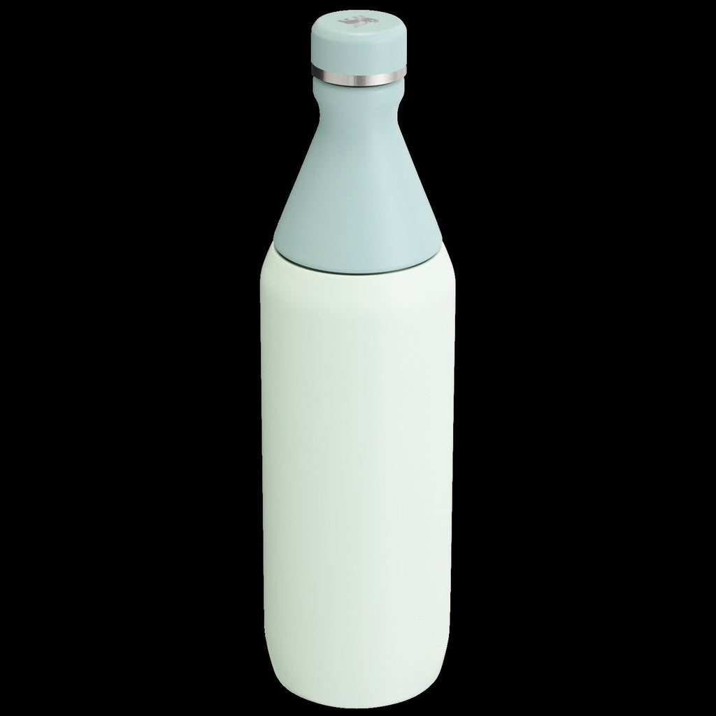 All Day Slim Bottle | 20 OZ - Stanley Create