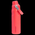 IceFlowTM Bottle with Fast Flow Lid | 24 OZ