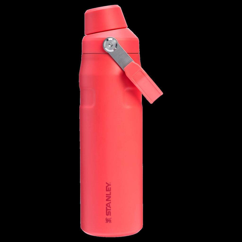 IceFlowTM Bottle with Fast Flow Lid | 24 OZ
