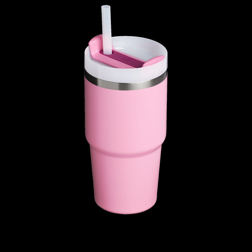 The Quencher H2.0 FlowStateTM Tumbler | 20 OZ