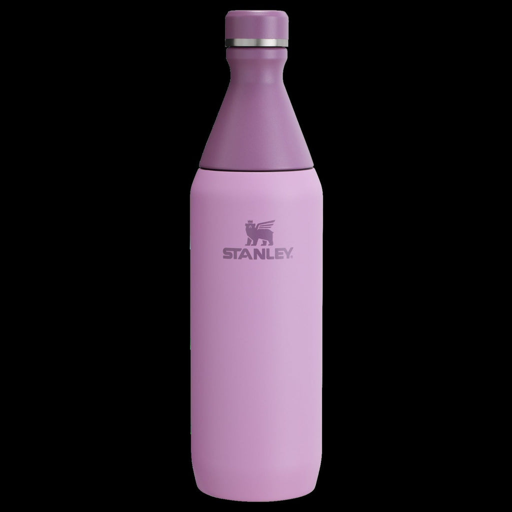 All Day Slim Bottle | 20 OZ - Stanley Create