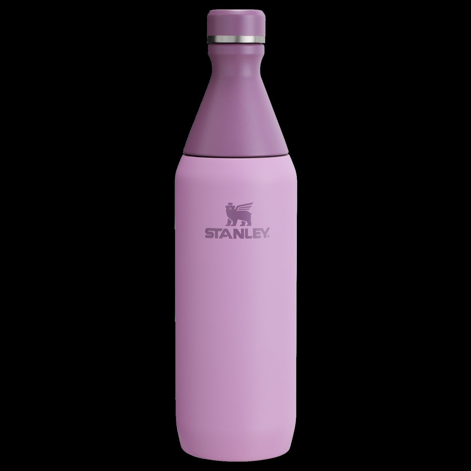 All Day Slim Bottle | 20 OZ - Stanley Create