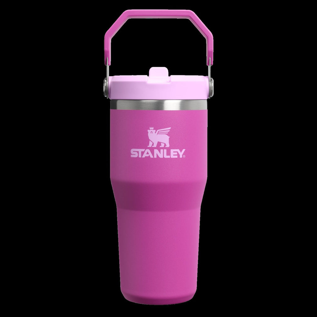 The IceFlowTM Flip Straw Tumbler | 14 OZ - Stanley Create