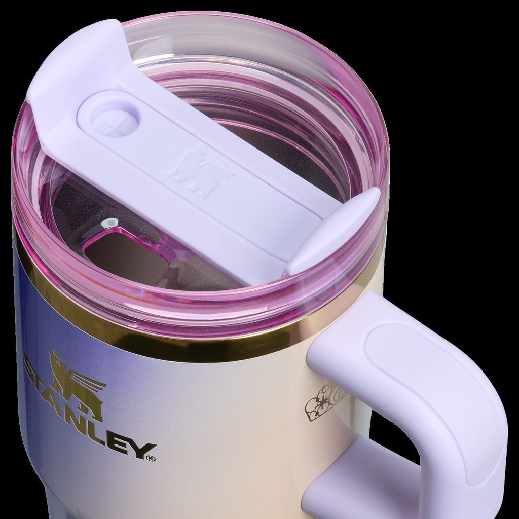 The Wicked for Good Quencher® H2.0 FlowStateTM Tumbler | 20 OZ