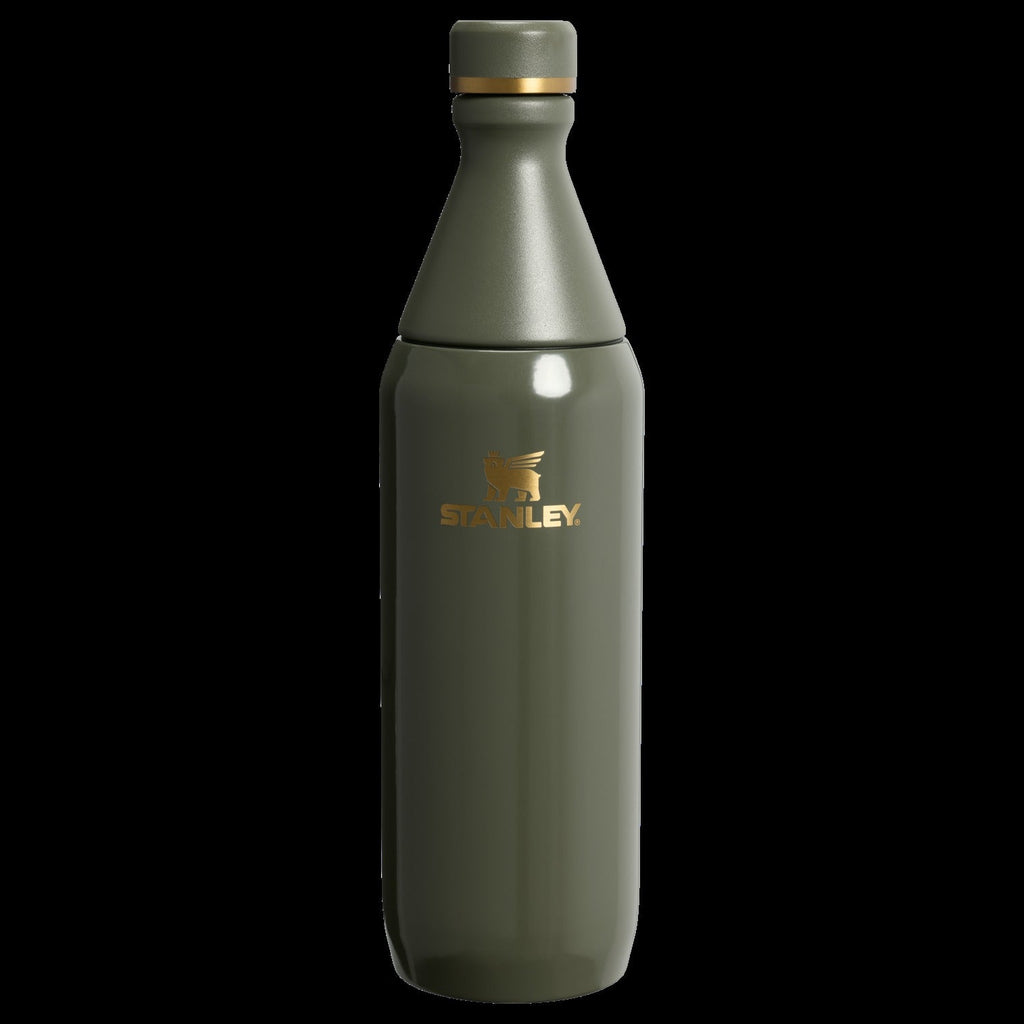 All Day Slim Bottle | 20 OZ - Stanley Create