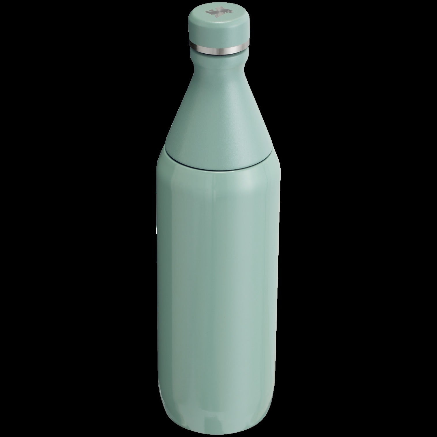 All Day Slim Bottle | 20 OZ - Stanley Create
