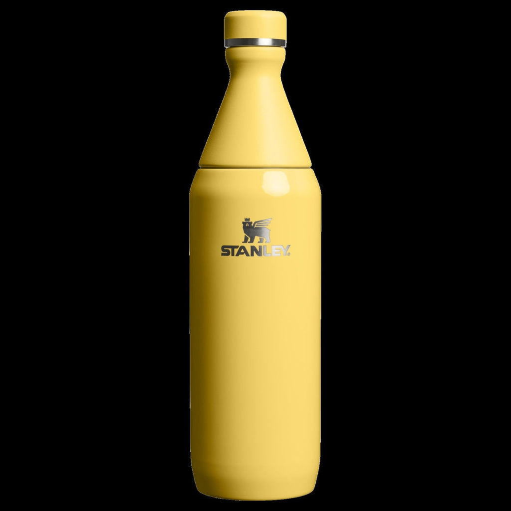 All Day Slim Bottle | 20 OZ - Stanley Create