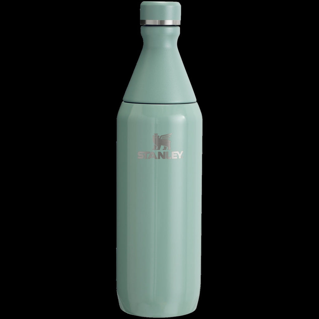 All Day Slim Bottle | 20 OZ - Stanley Create