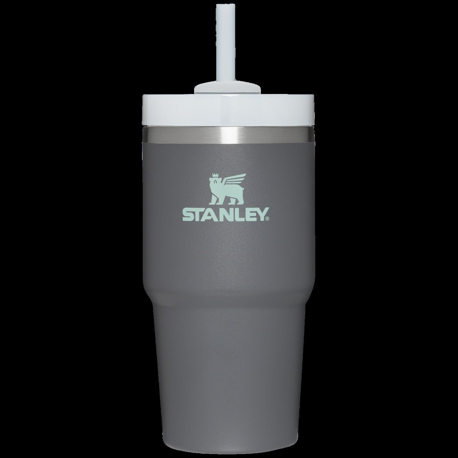 The Quencher H2.0 FlowStateTM Tumbler | 20 OZ