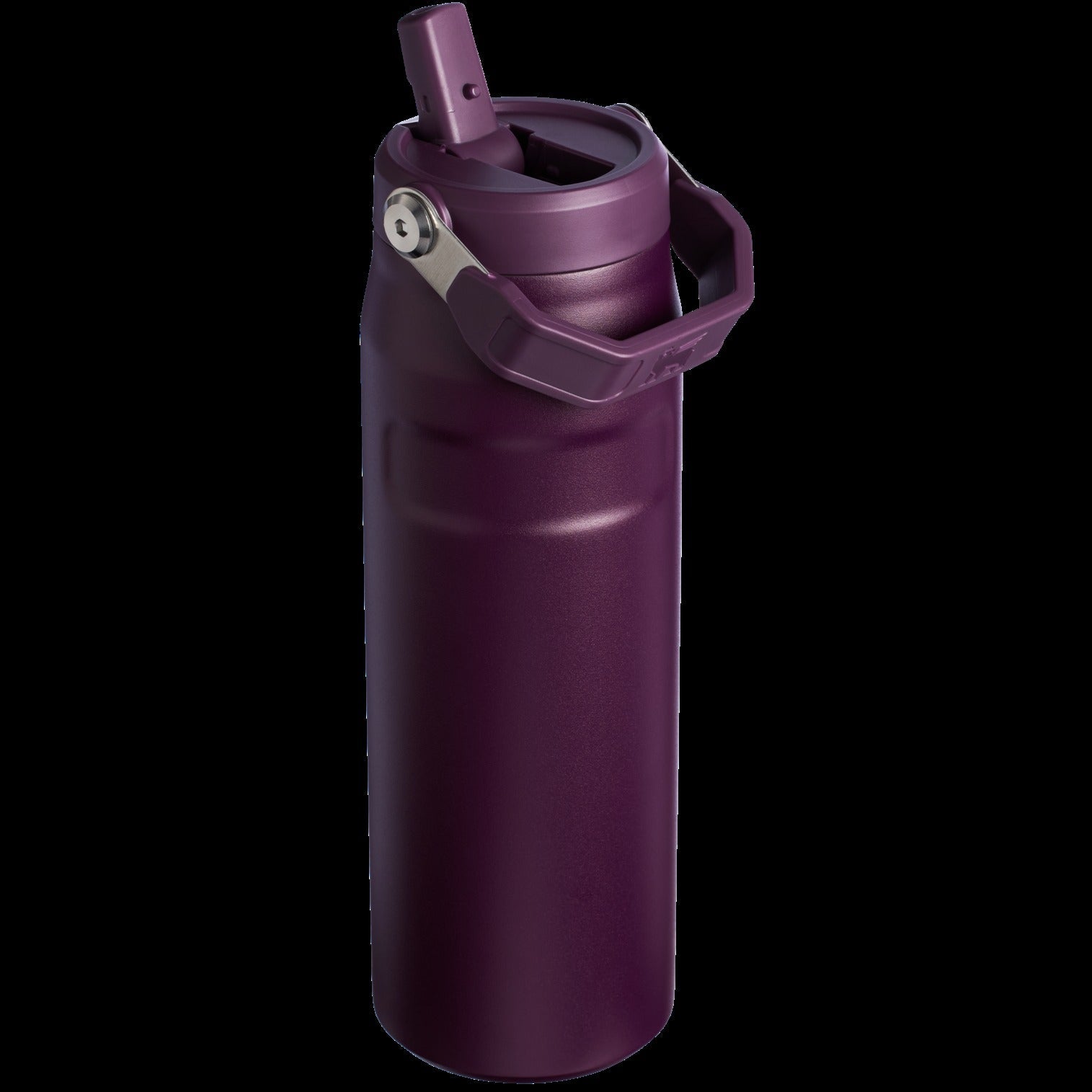 The IceFlowTM Bottle with Flip Straw Lid | 24 OZ - Stanley Create