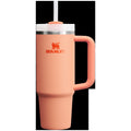 The Quencher H2.0 FlowstateTM Tumbler | 30 OZ