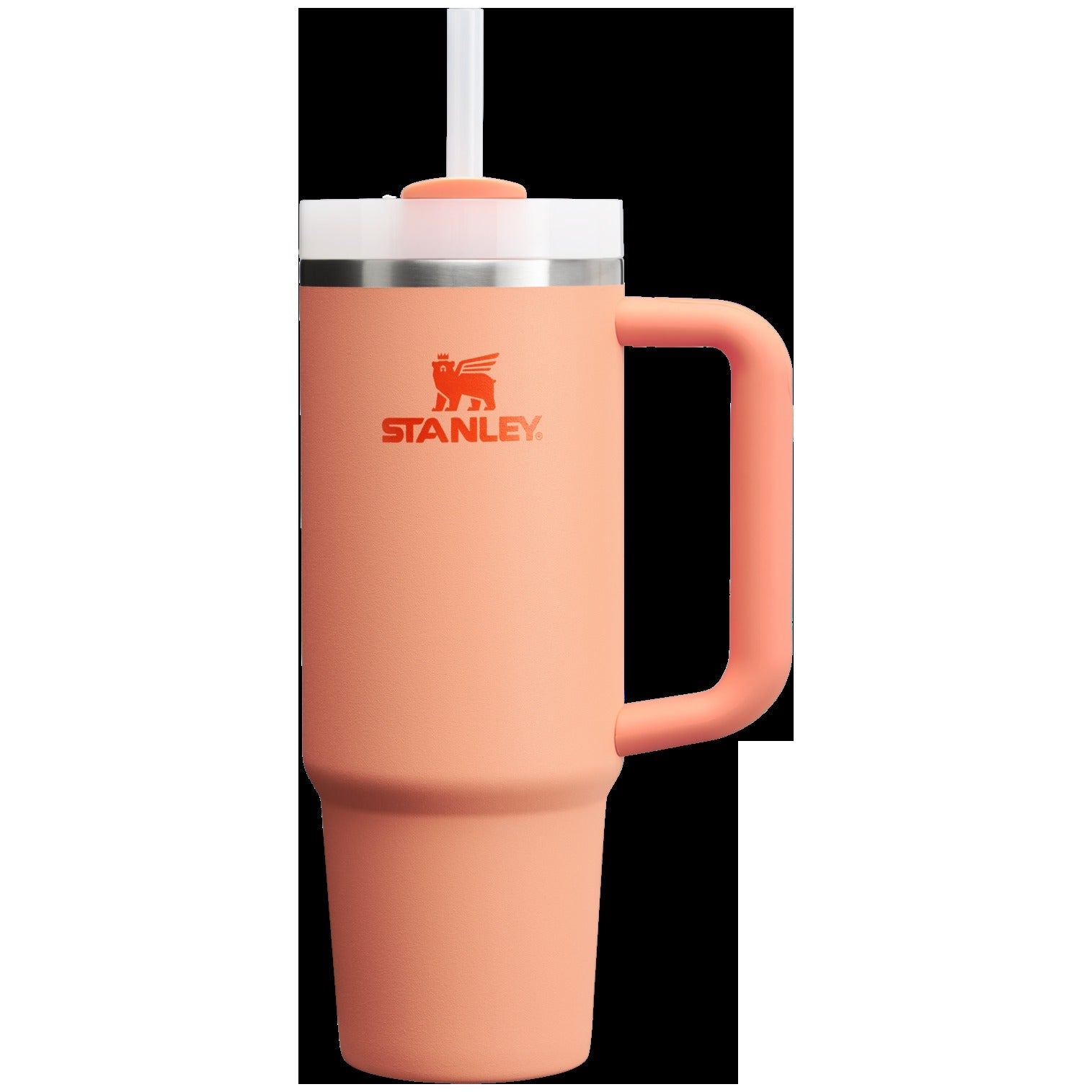 The Quencher H2.0 FlowstateTM Tumbler | 30 OZ